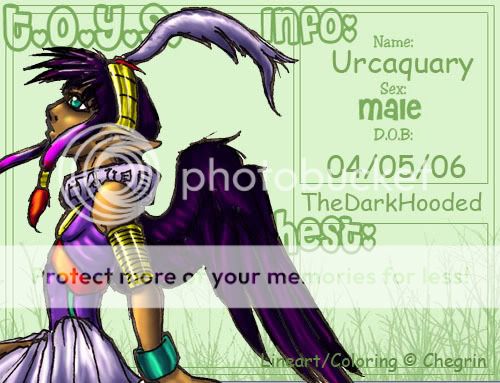 User Image